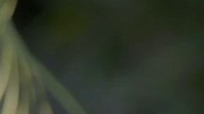 Matías Novoa y Oka Giner en una escena de la telenovela "Marea De Pasiones", producción de Giselle González que se transmite por Las Estrellas en México y próximamente por Univision para Estados Unidos/México, 1 de abril 2024.