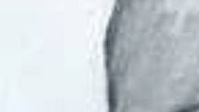 Retrato hablado de sospechoso de ataque sexual en Central Park, NYC.