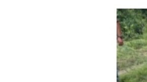 Serpiente de 14 pies (4.2 metros) de largo en Albany, NY.
