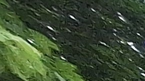 Los venezolanos tienen por delante unas elecciones en donde aspiran desalojar al régimen de Nicolás Maduro