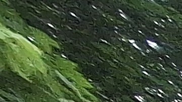 Los venezolanos tienen por delante unas elecciones en donde aspiran desalojar al régimen de Nicolás Maduro