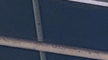 El Alcalde Eric Adams en la tarima del festival colombiano en Queens el domingo 21 de julio de 2024.