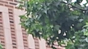 Aylin Restituyo cometió un error que la hizo conocer el sistema de justicia. Ahora ayuda a mujeres a conectar con servicios que las ayuden a recuperar sus vidas.