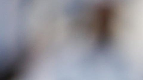 Camisa que uso Maradona en semis de México 86 será subastada en Nueva York