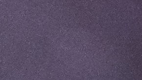 Miles de fanáticos recibieron a los bicampeones de América en Argentina [Video]