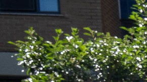 La administración Adams confirma una inversión de capital de $26 mil millones para crear y mejorar viviendas asequibles