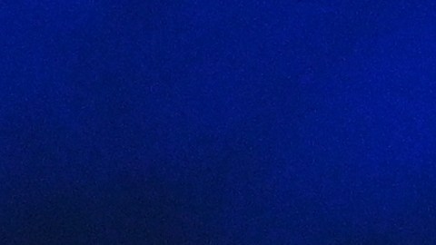 Javier Milei se reunió con Jair Bolsonaro tras diferencias con Lula da Silva