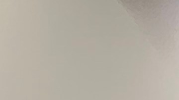 La inquilina Alicia Boyd, manifestó junto a sus nietos su oposición al proyecto la Ciudad del Sí