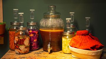 Alimentos fermentados