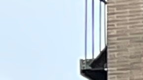 Más de 12,000 restaurantes se beneficiaron tars la pandemia con el programa para armar cobertizos exteriores