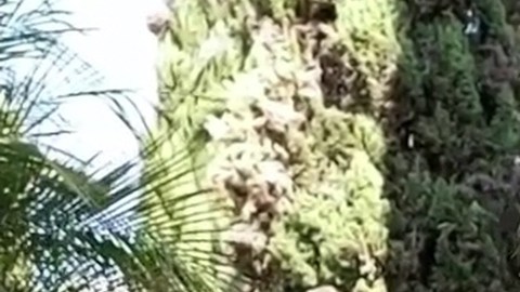 Alfredo Adame habla de la relación que tiene con sus hijos varones.