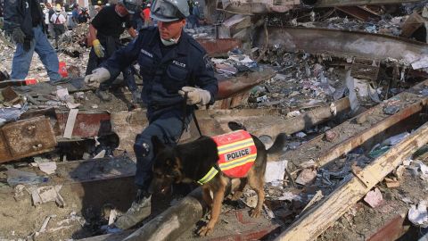 La policía busca entre los escombros con perros en el lugar del derrumbe de las torres del World Trade Center en Nueva York.