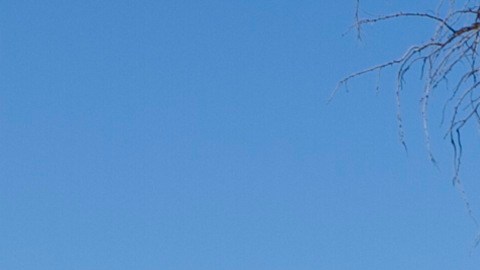 Asesinato de trabajador de restaurante en Texas