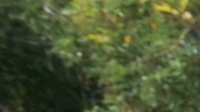 Los activistas temen que la nueva legislación conlleve un alza de la discriminación racial.