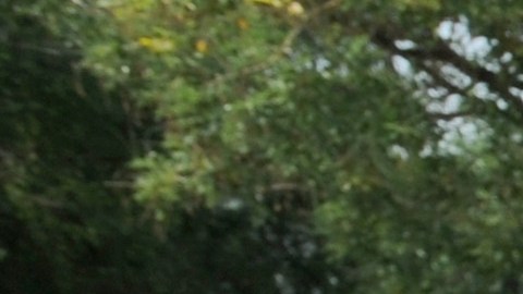 Los activistas temen que la nueva legislación conlleve un alza de la discriminación racial.