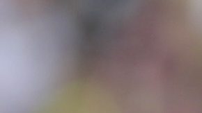 Wilton Pereira Sampaio durante un partido entre Colombia y Venezuela en 2017.