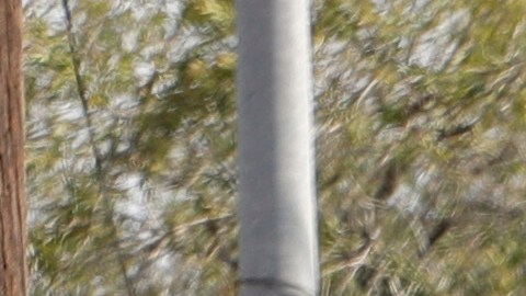 Tiroteo en iglesia de Texas