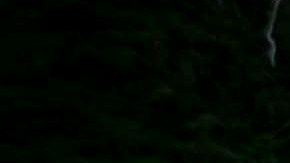 Casas destruidas por el huracán María en Puerto Rico