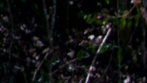 Red eléctrica de Puerto Rico