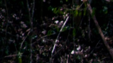 Red eléctrica de Puerto Rico