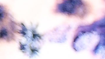 Jugador de eSports. Imagen referencial.