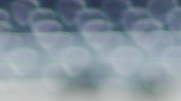 David Ortiz y Juan Soto comparten en la previa al All-Star Game 2019.