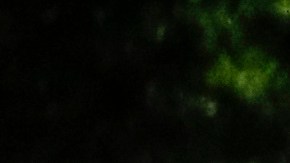 NYPD arrestó a una persona de interés bajo custodia y están siendo interrogado mientras siguen las averiguaciones.