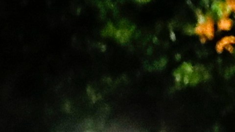 NYPD arrestó a una persona de interés bajo custodia y están siendo interrogado mientras siguen las averiguaciones.