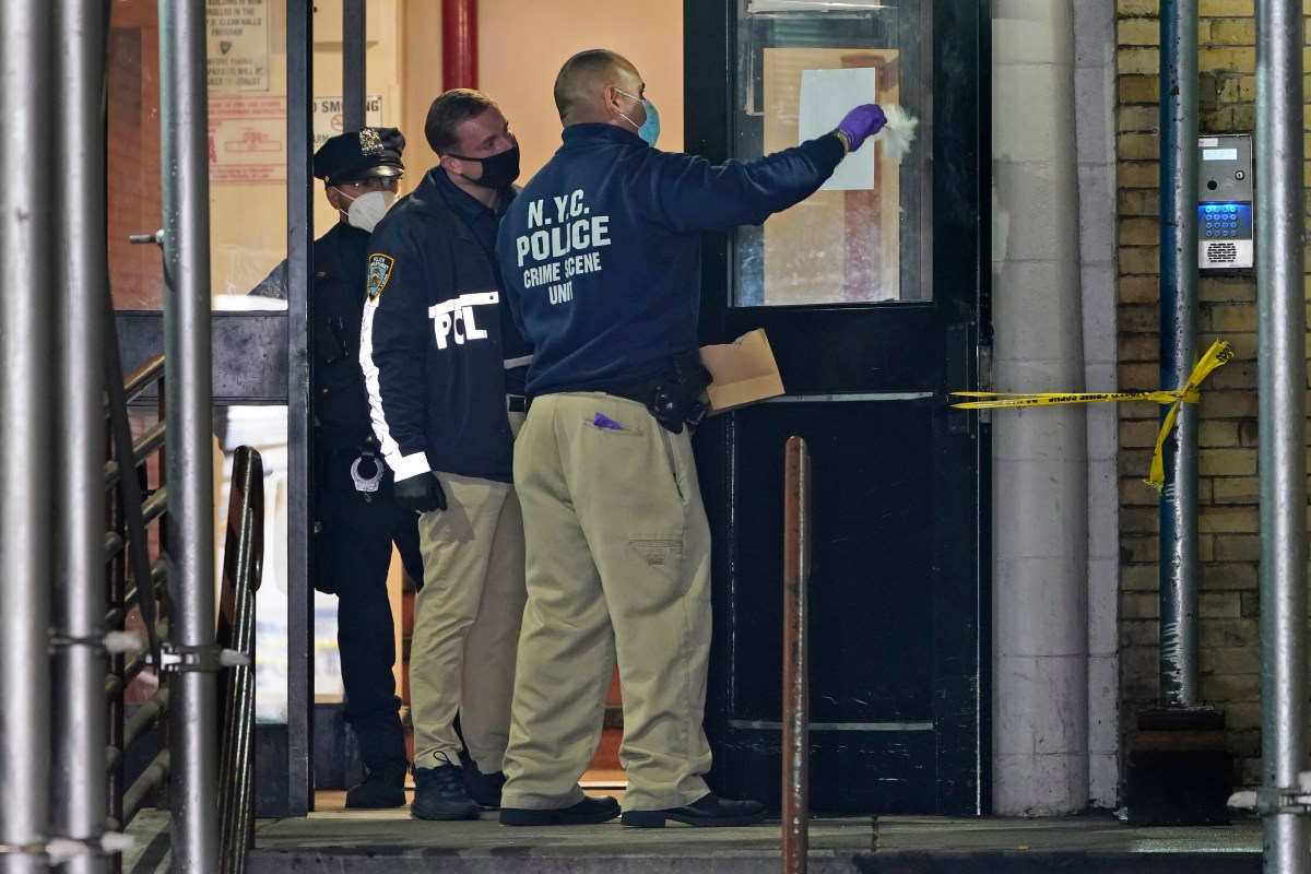 Arrestan a sujeto que mató a puñaladas a su vecino e hirió a pitbull en Brooklyn, según NYPD