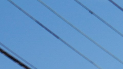 Las autoridades empezaron a cerrar sistemáticamente a las aproximadamente 3,400 tiendas ilegales de marihuana de la ciudad.