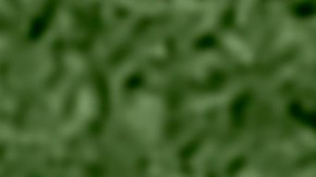 Messi y Di María celebrando la Copa del Mundo en 2022.