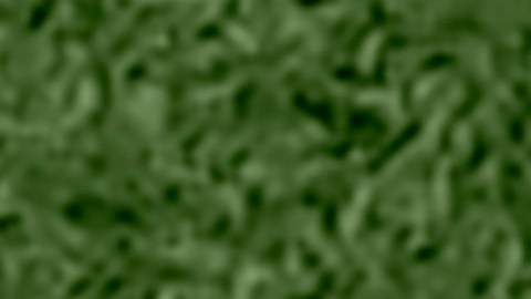 Messi y Di María celebrando la Copa del Mundo en 2022.