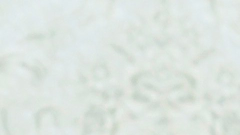 Joe Biden se reunirá con Volodímir Zelenski en Washington: cumbre de la OTAN