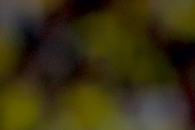 Félix Sánchez Bas dejó de ser entrenador de Ecuador tras caer eliminado en cuartos de final de Copa América.