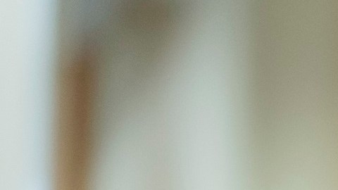 El republicano Anthony D'Esposito es fiel seguidor de Trump.