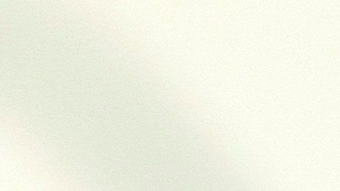 Sheila Jackson Lee, congresista