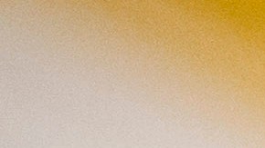 "Él está a favor de Joe", dijo el portavoz de Schumer, Angelo Roefaro, en una declaración luego que la prensa insistiera a Schumer en el Capitolio con la misma pregunta.