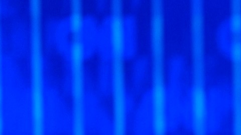 El presidente Biden defiende su candidatura de reelección.