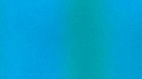 Election 2024 Debate