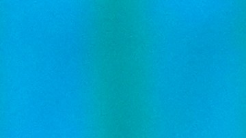 Election 2024 Debate