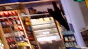 Terminal de JetBlue en Boston