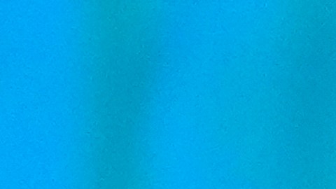 Jueza concede pausa en procesamiento de Trump por los documentos confidenciales