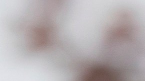 Una activista expresó que J.D. Vance ha promovido teorías de conspiración xenófobas.