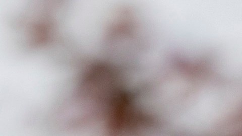 Una activista expresó que J.D. Vance ha promovido teorías de conspiración xenófobas.