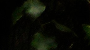 Manifestantes pro palestinos bloquean la ruta del desfile durante la Marcha del Orgullo de Nueva York.