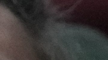 Aficionado de México llorando tras eliminación en Copa América 2024. Photo/Matt York.