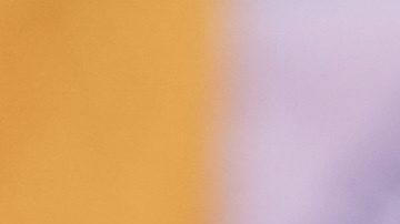 Fans en la Eurocopa 2024. Photo/Martin Meissner.