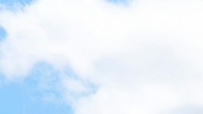 La Corte Suprema determinó que las decisiones de oficiales consulares en inmigración son irreversibles.