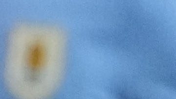 Estados Unidos vs. Uruguay en Copa América.