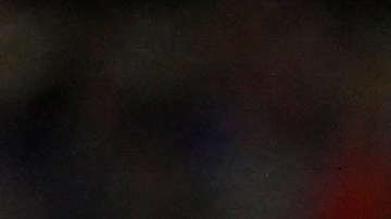 Uruguay celebrando su clasificación a los cuartos de final de la Copa América.